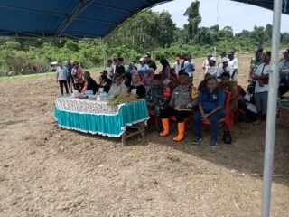 Polri Hadir Dukung Ketahanan Pangan, Kapolsek Bonggo Ikut Tanam dan Panen Bersama Petani Tetom Jaya